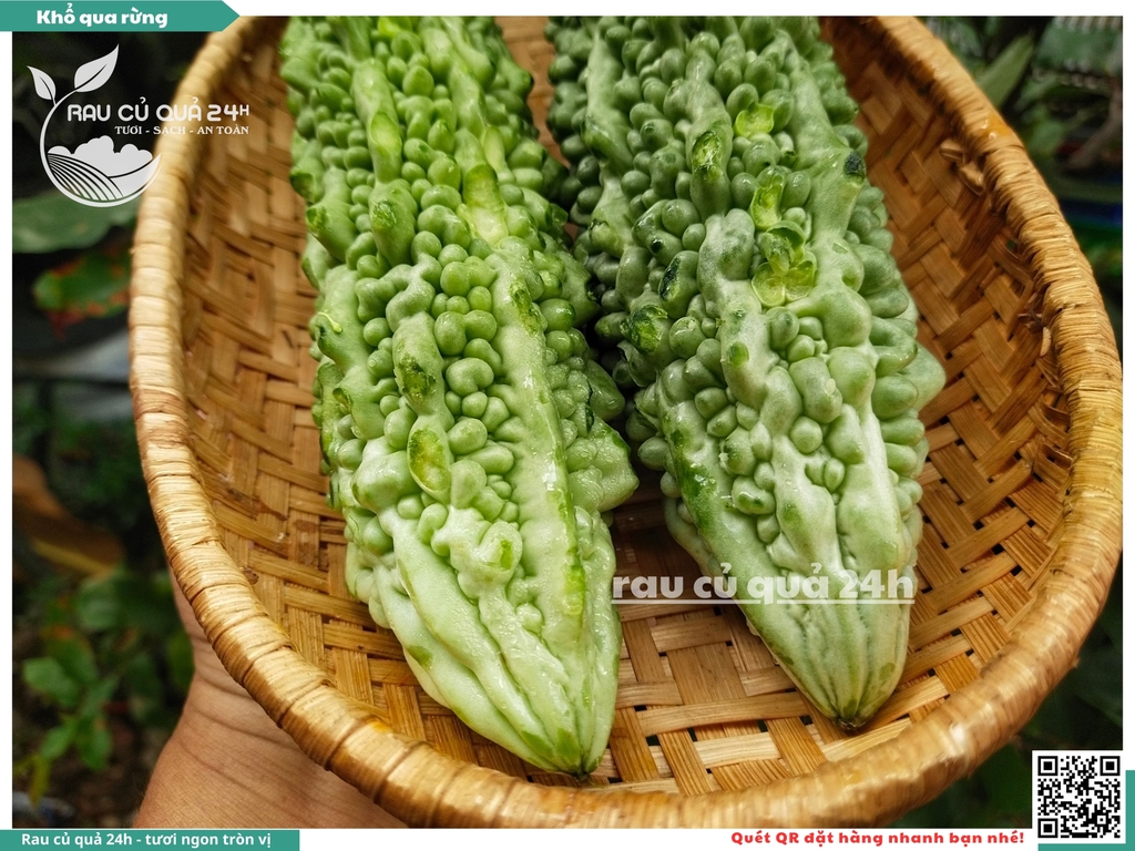 Quả Khổ qua rừng - 2 quả