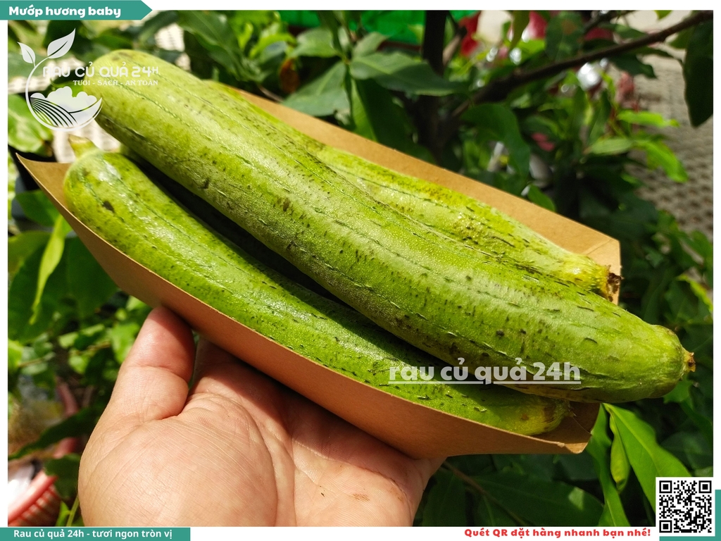 Mướp hương baby - 400g