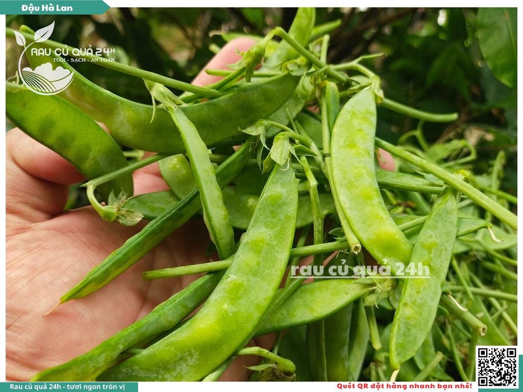 Đậu hà lan trái - 170g