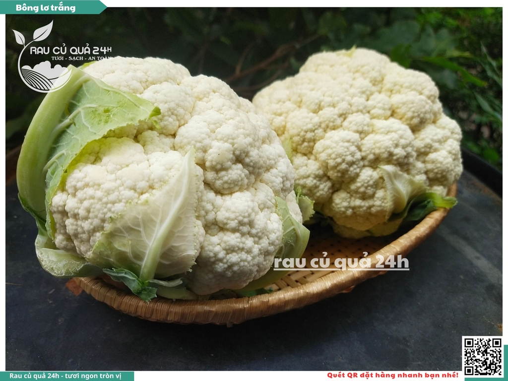 Bông lơ trắng 1 bông