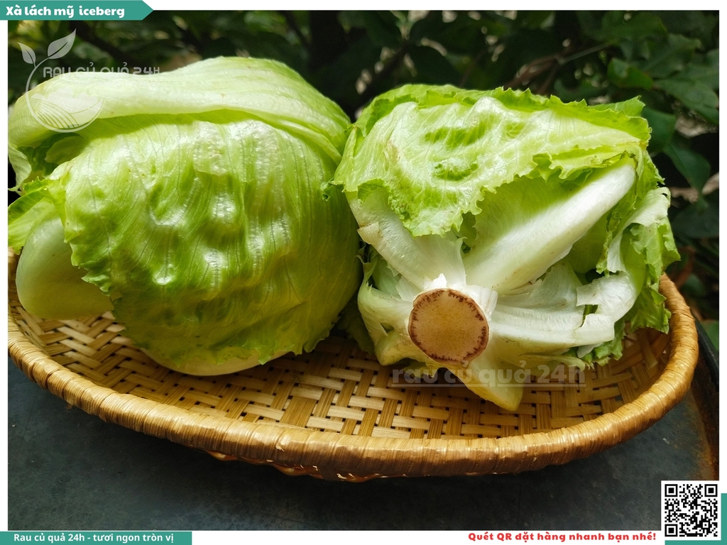 Xà lách Mỹ Iceberg 1 cây khoảng 250 - 400g