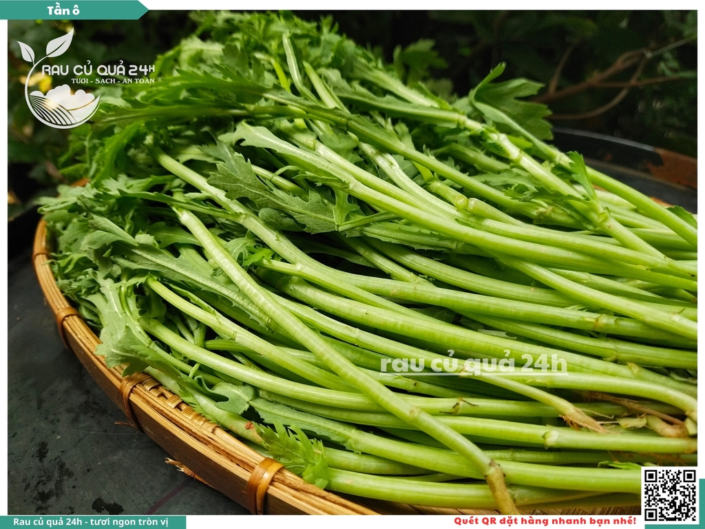 Rau Tần ô (Cải Cúc)