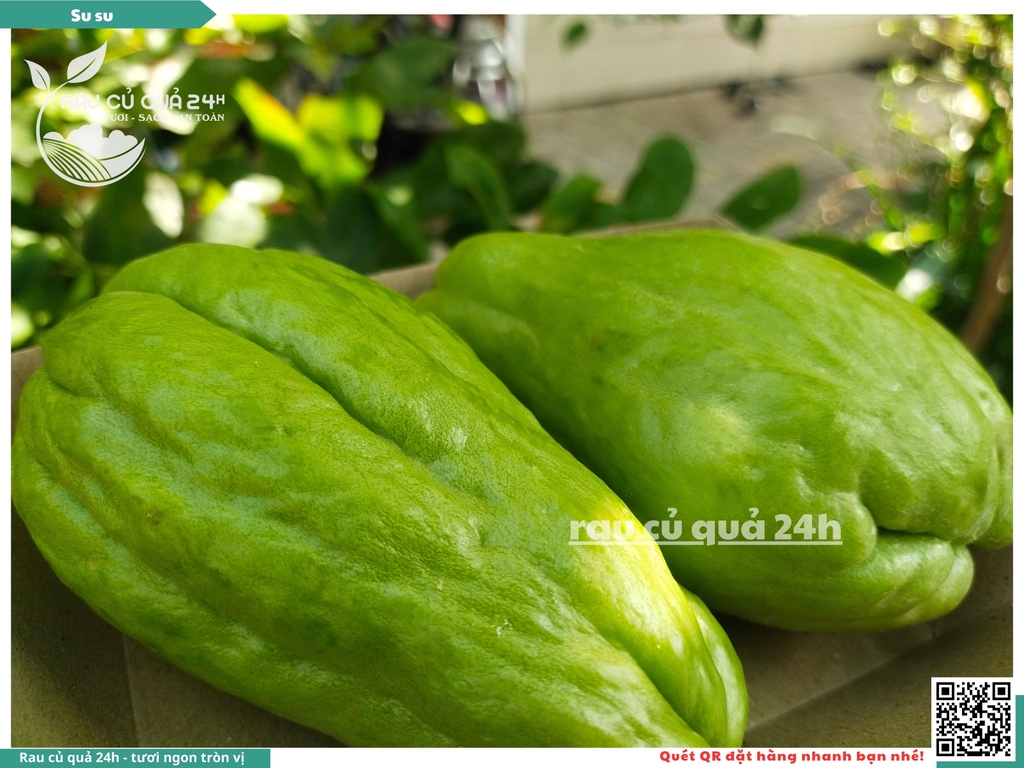 Quả Su su - 2 quả