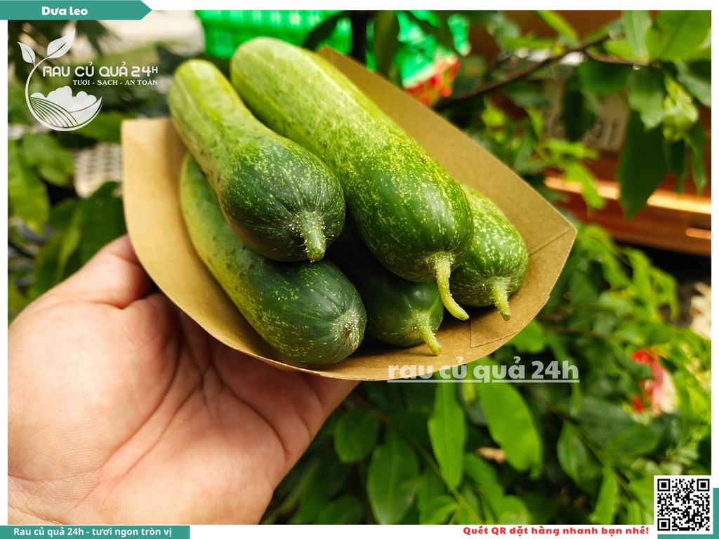 Quả Dưa leo khoảng - 400g