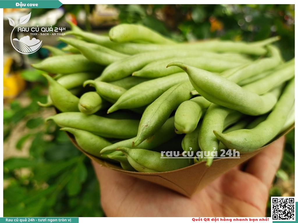 Quả Đậu cô ve - 400g