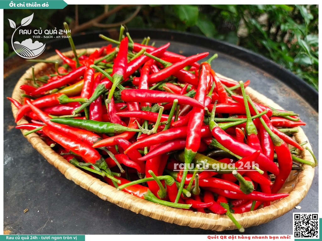 Ớt chỉ thiên đỏ - 45g