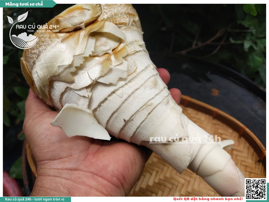 Măng tươi sơ chế - 1 cây