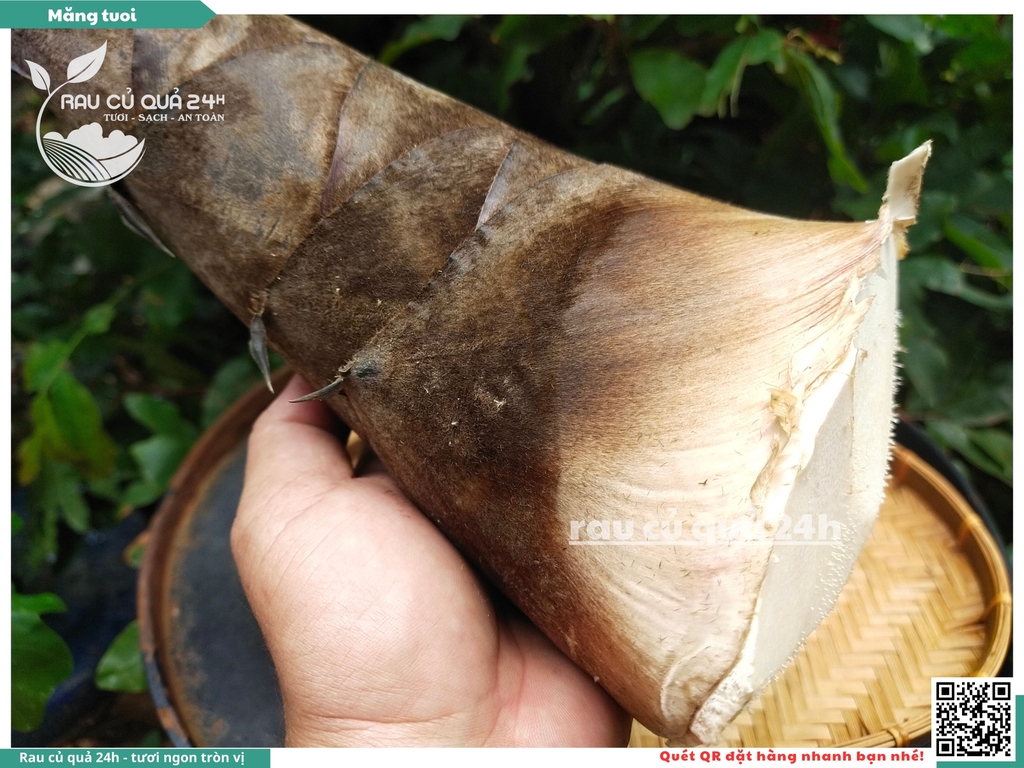 Măng tươi - 1 cây