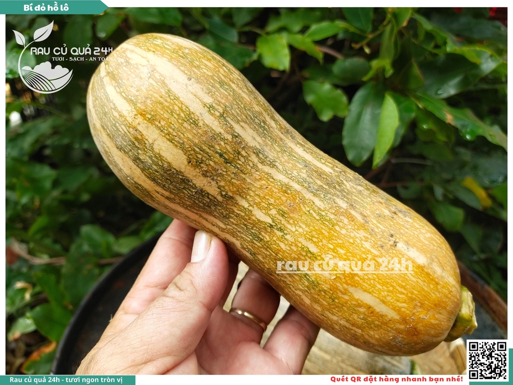 Bí đỏ Hồ Lô 1 quả khoảng 700g