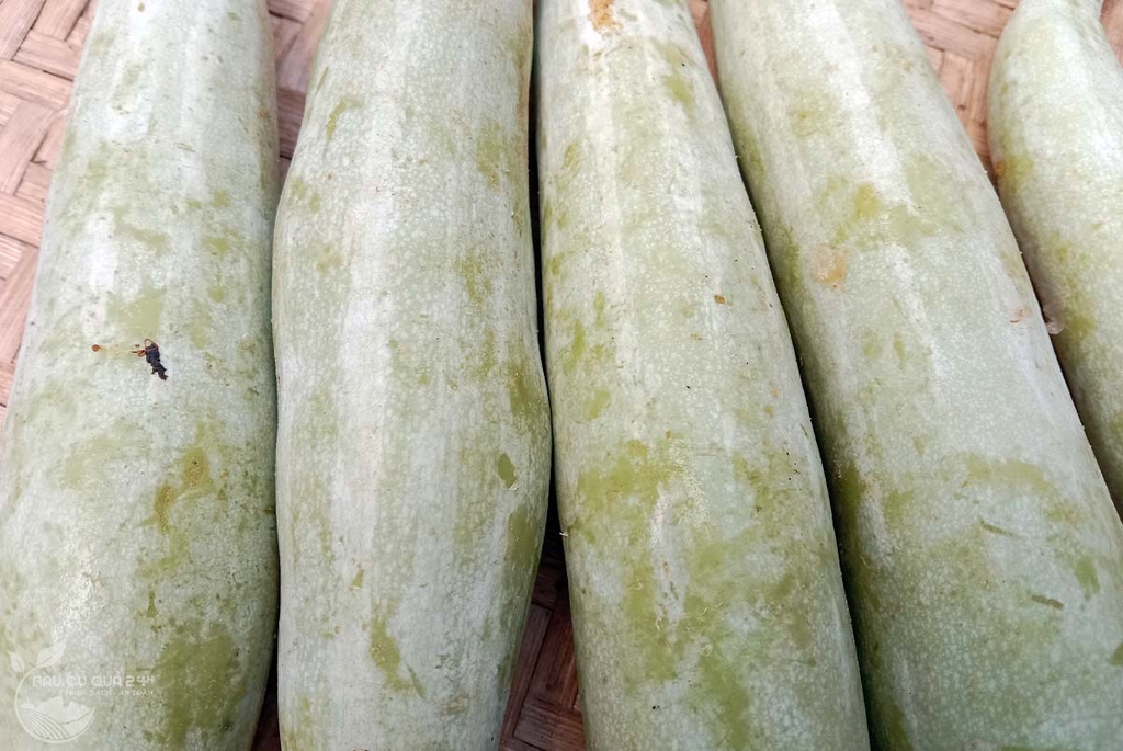 Khổ qua tây 3 quả khoảng 400 - 600g