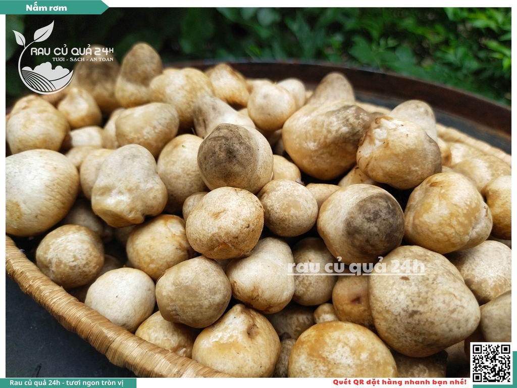 Nấm rơm - 200g