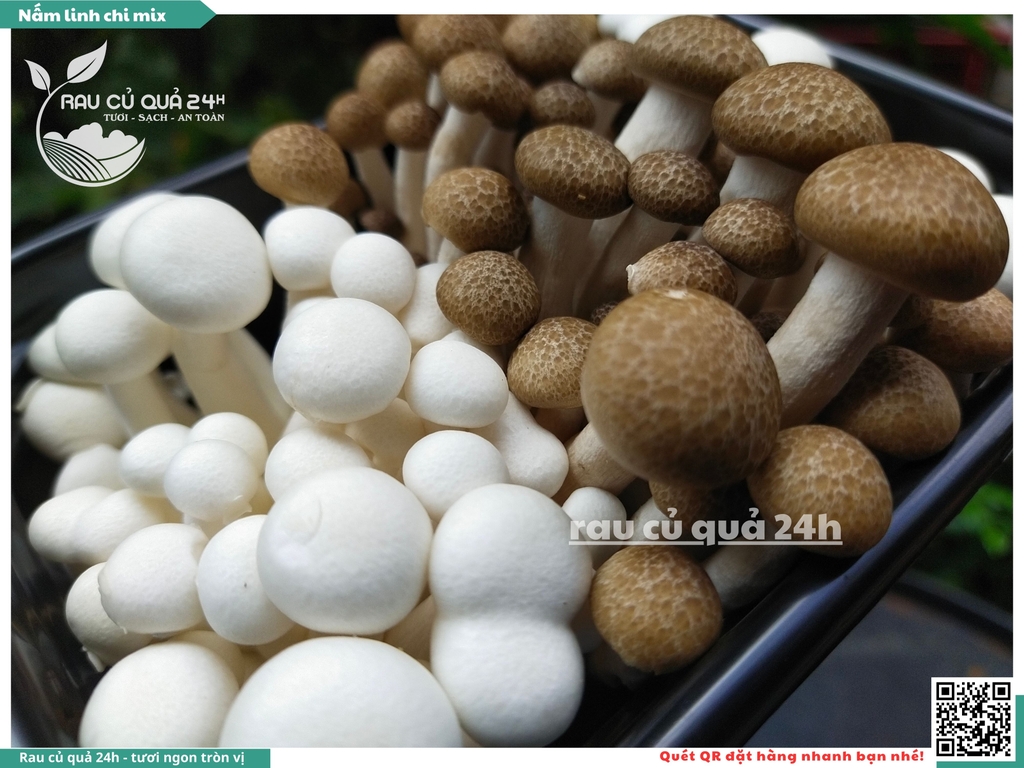 Nấm linh chi mix