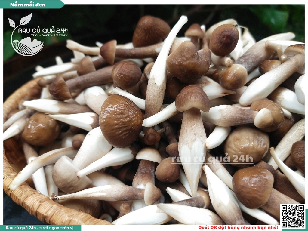 Nấm mối đen - 400g