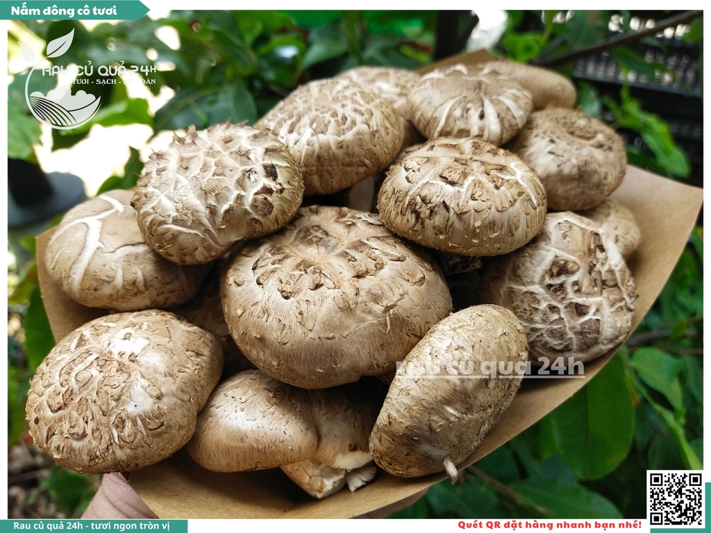 Nấm đông cô tươi khoảng 175g