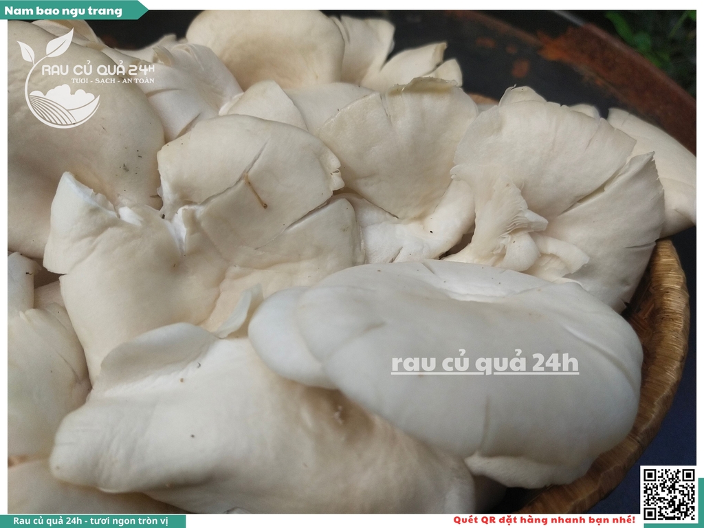 Nấm bào ngư trắng khoảng 200g