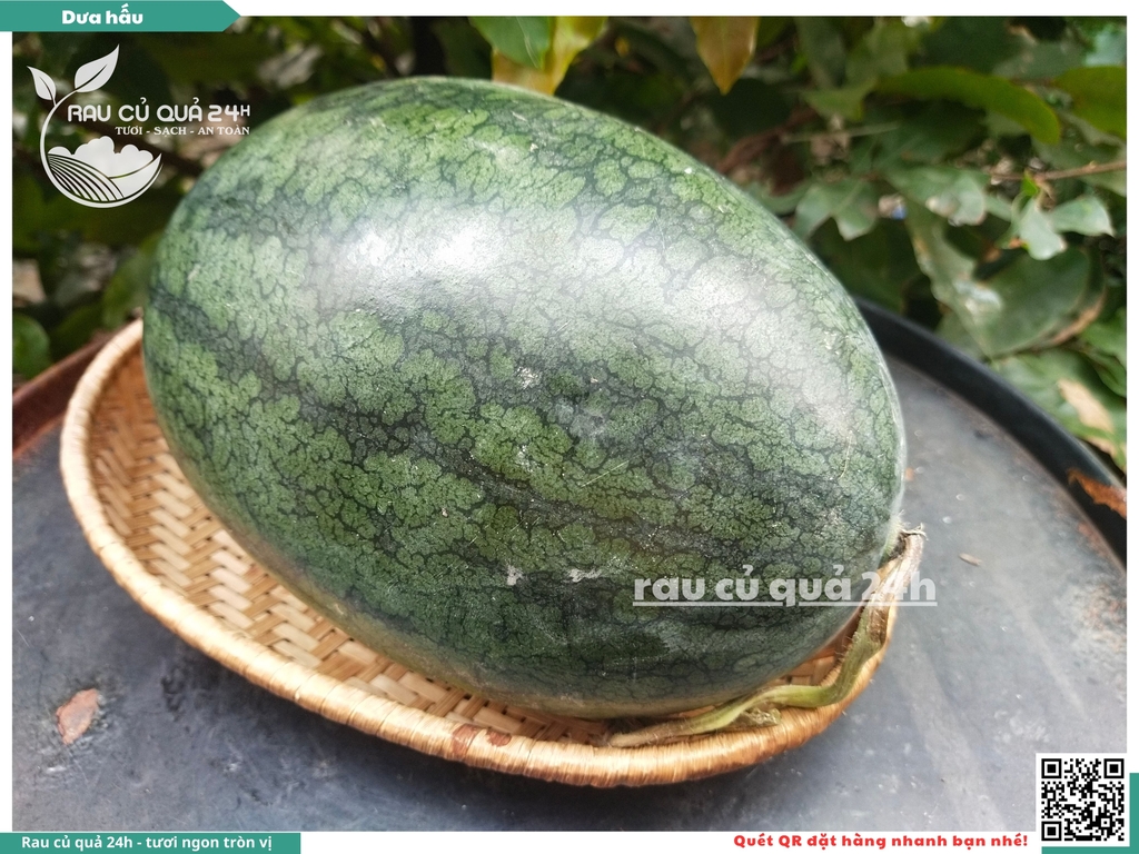 Dưa hấu