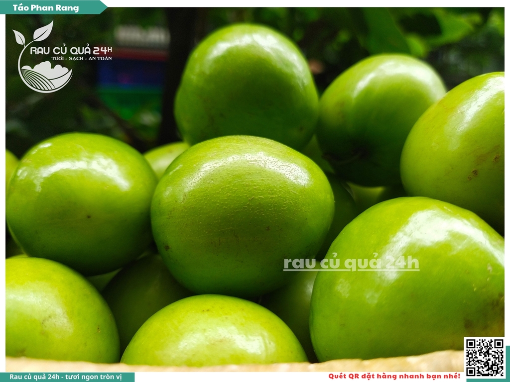 Táo xanh Phan Rang khoảng 400g