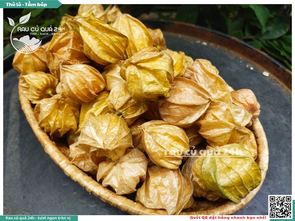 Thù lù - Tầm bóp Nam mỹ 300g