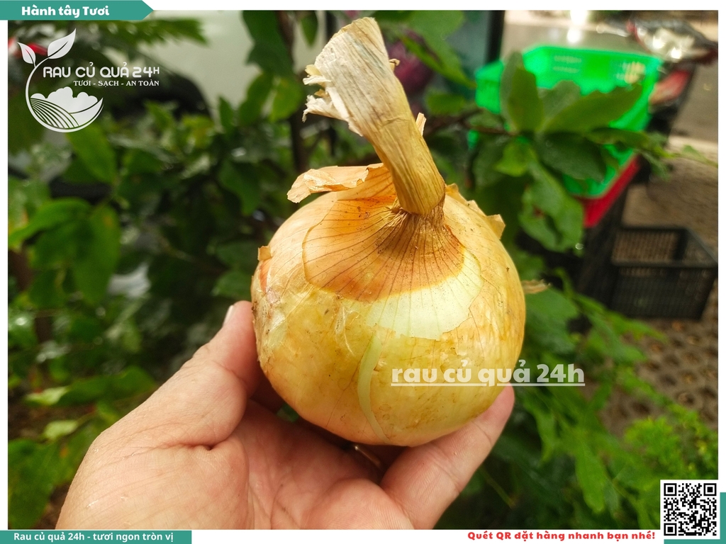 Củ Hành tây tươi Đà Lạt 300g