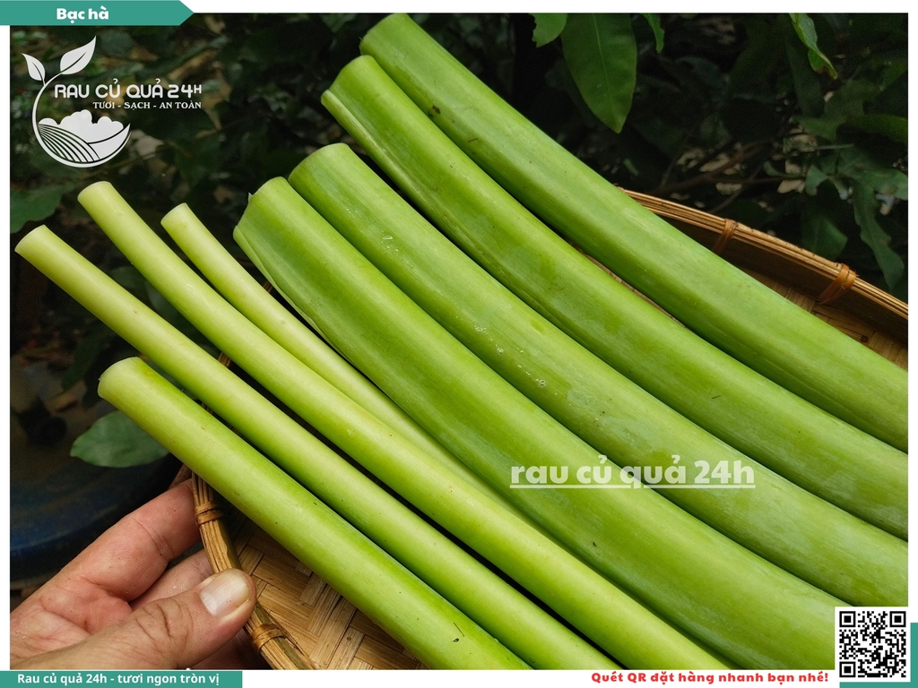Bạc Hà - Dọc mùng 200g
