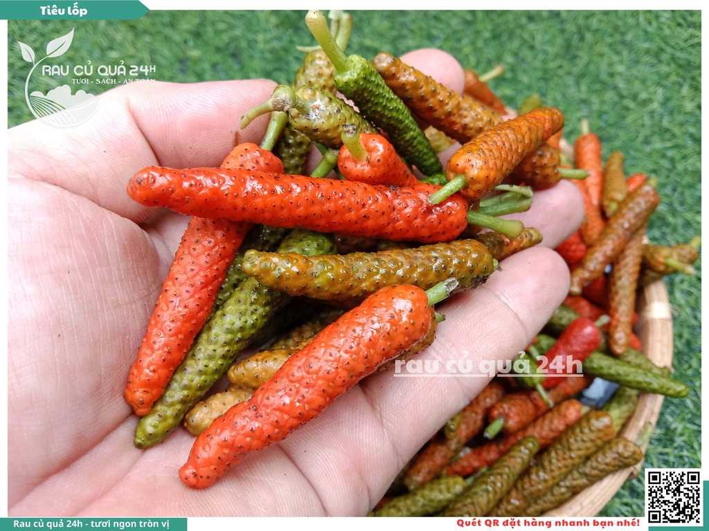 Hạt Tiêu lốp tươi