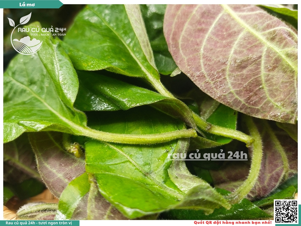 Lá mơ khoảng 100g