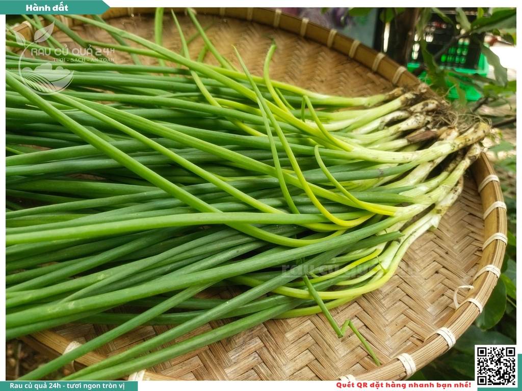 Rau nêm Hành Đất 500g