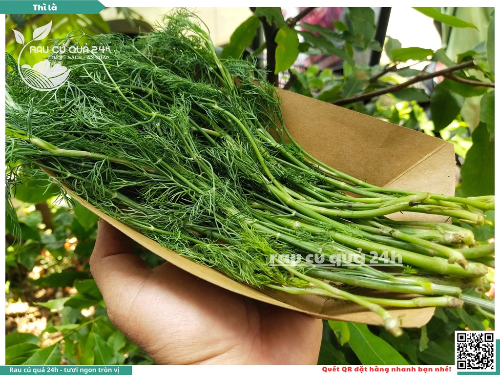 Rau nêm Rau Thì là 65g