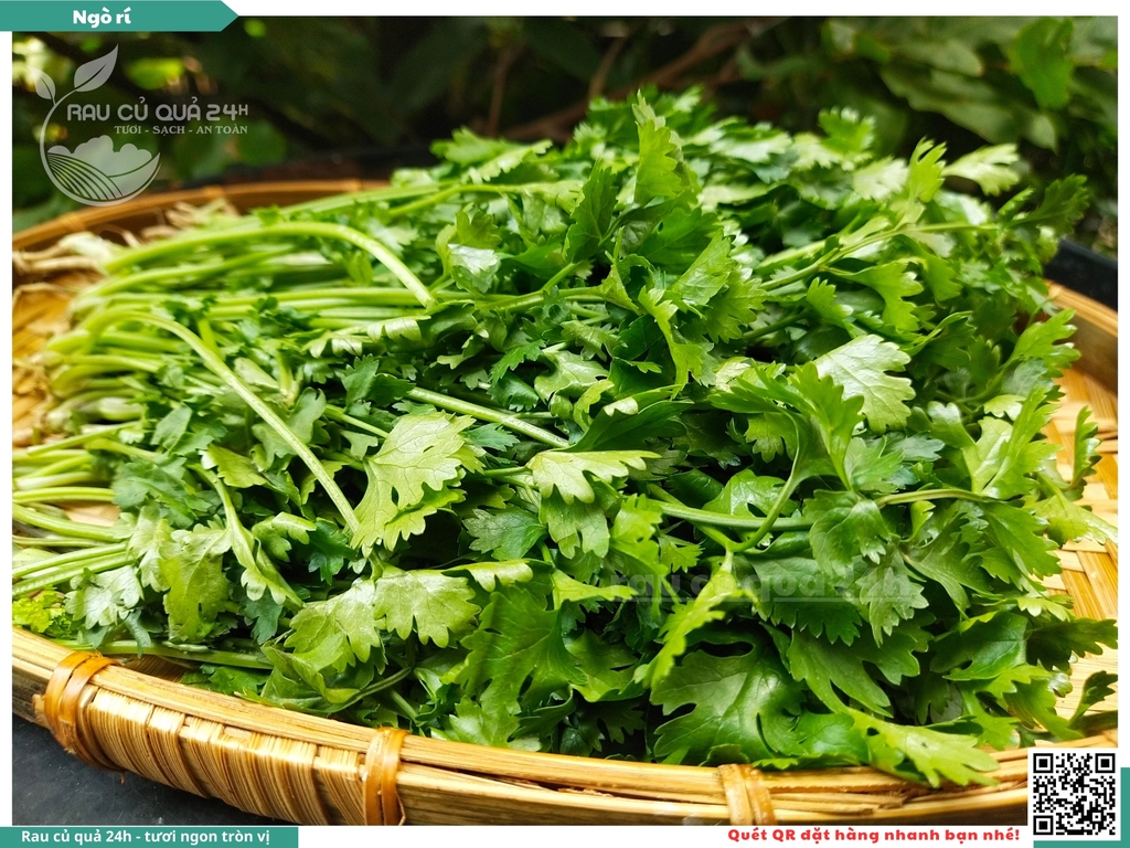 Rau nêm Ngò rí Đà Lạt 65g