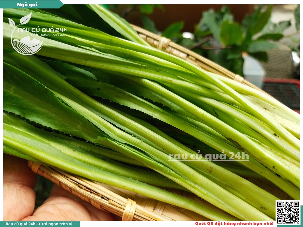 Rau nêm Ngò gai 65g