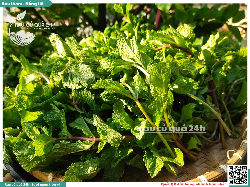 Rau thơm - Húng lũi 65g