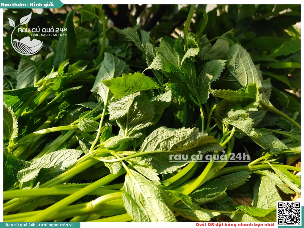 Rau thơm - Kinh giới 65g