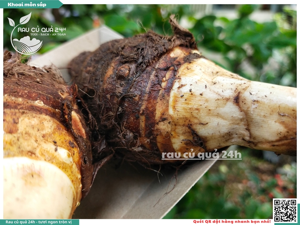 Khoai môn sáp Đà Lạt