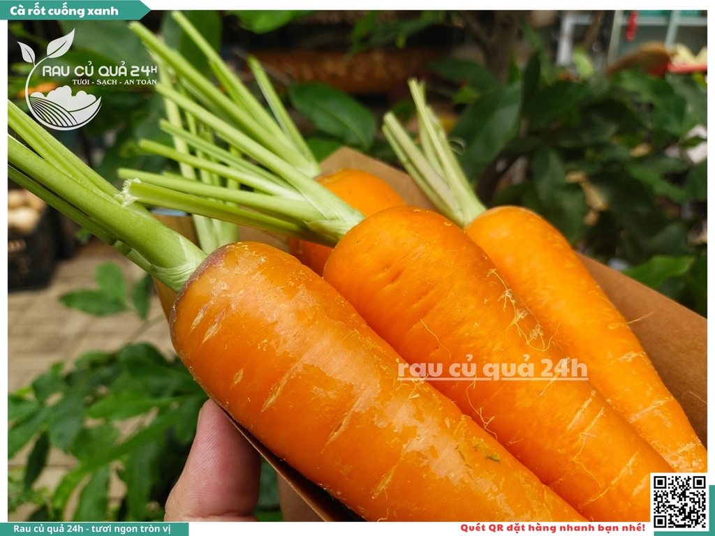 Cà rốt cuống xanh khoảng 1kg