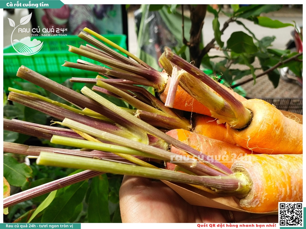 Cà rốt cuống tím khoảng 1kg