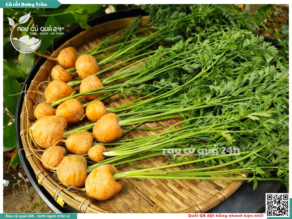 Cà rốt baby tròn