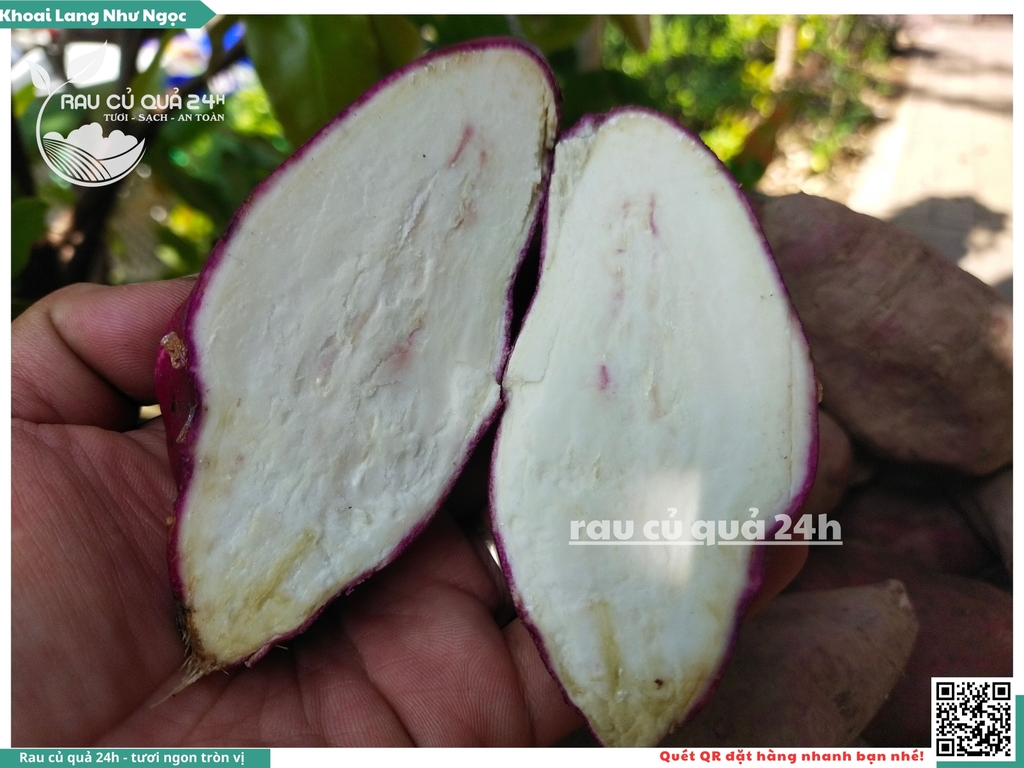 Khoai lang Như ngọc