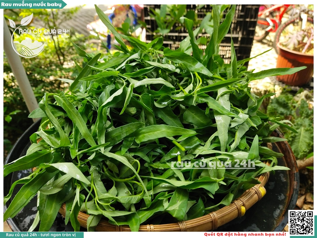 Rau muống nước baby khoảng 300g