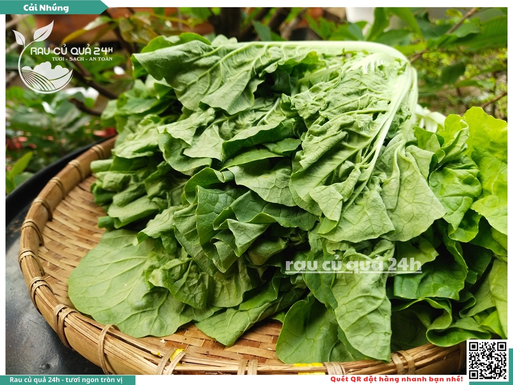 Rau cải nhúng baby khoảng 300g