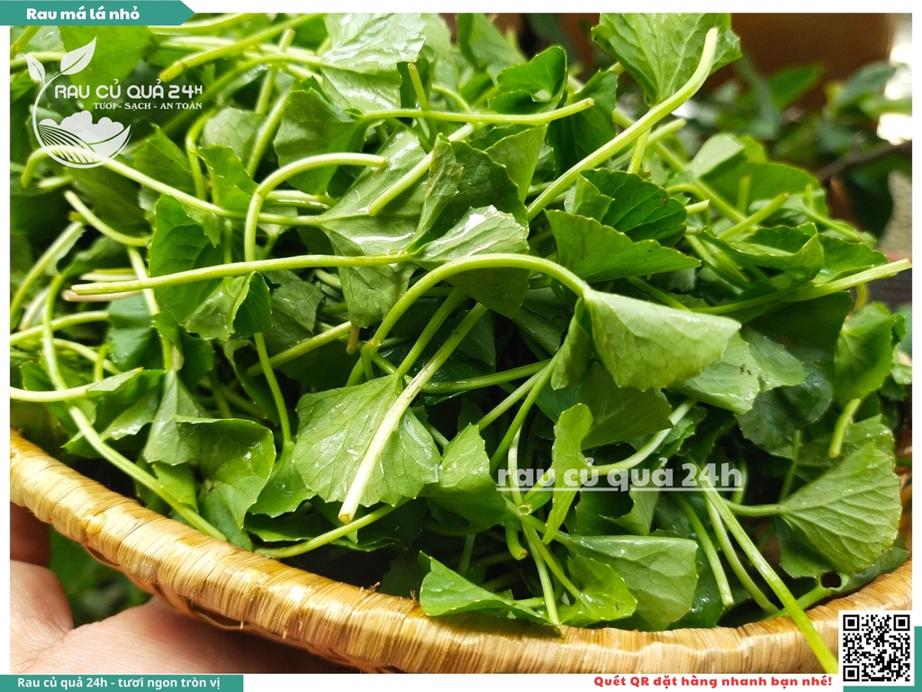 Rau má lá nhỏ khoảng 300g