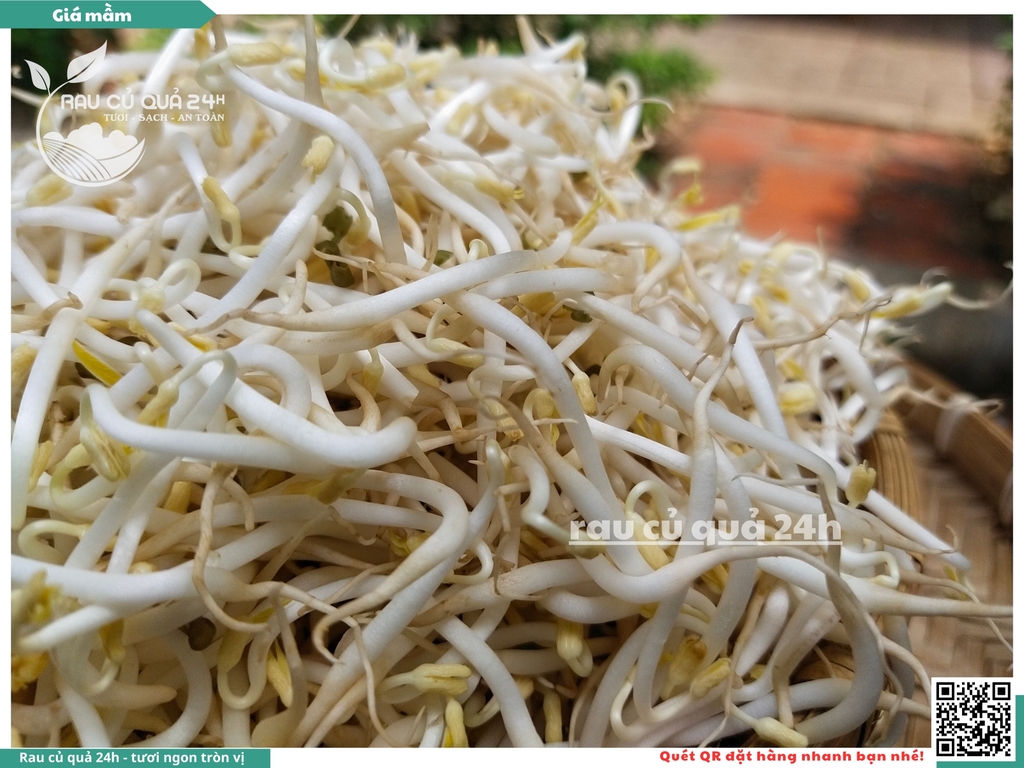 Giá mầm khoảng 200g