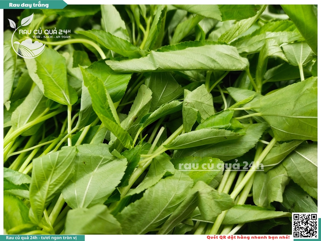 Rau đay trắng khoảng 300g