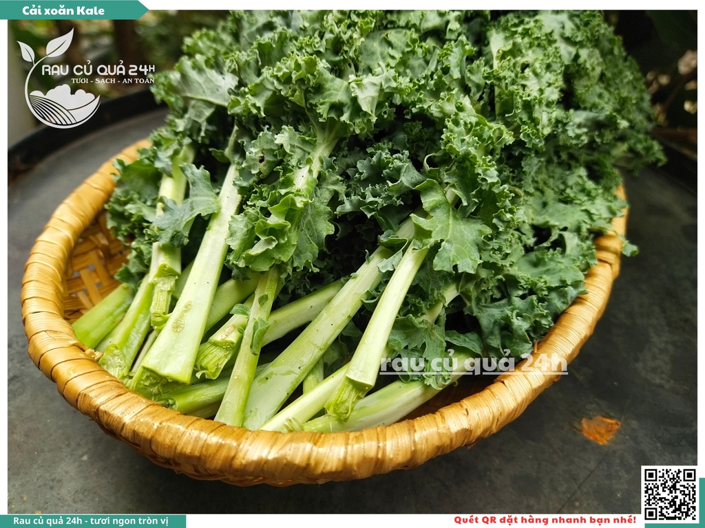 Rau Cải xoăn Kale