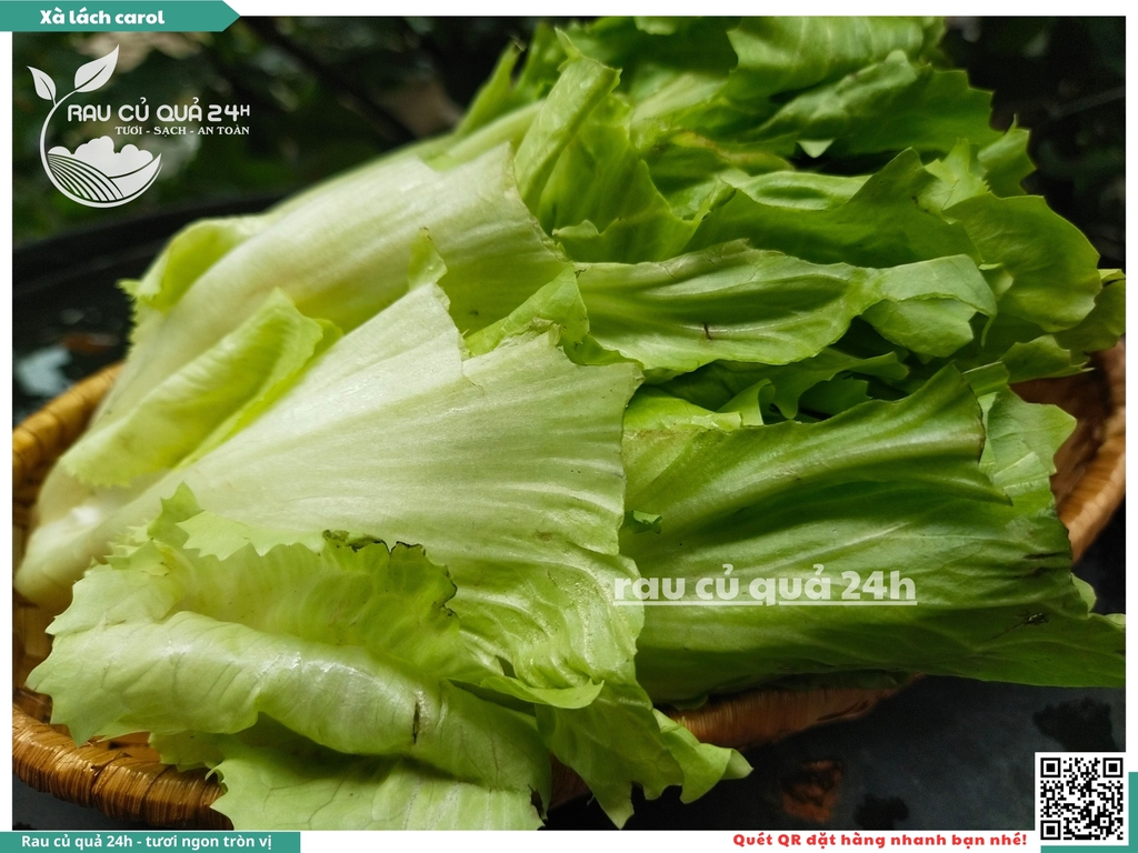 Xà lách Carol - Khoảng 300g