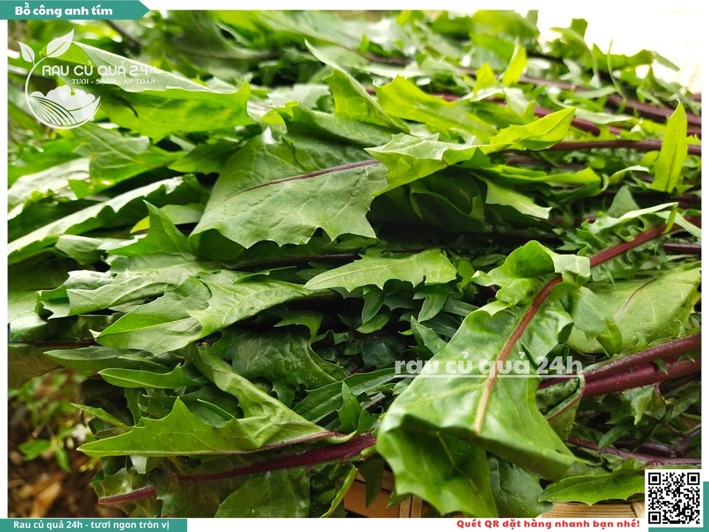 Rau Bồ Công Anh Tím khoảng 250g