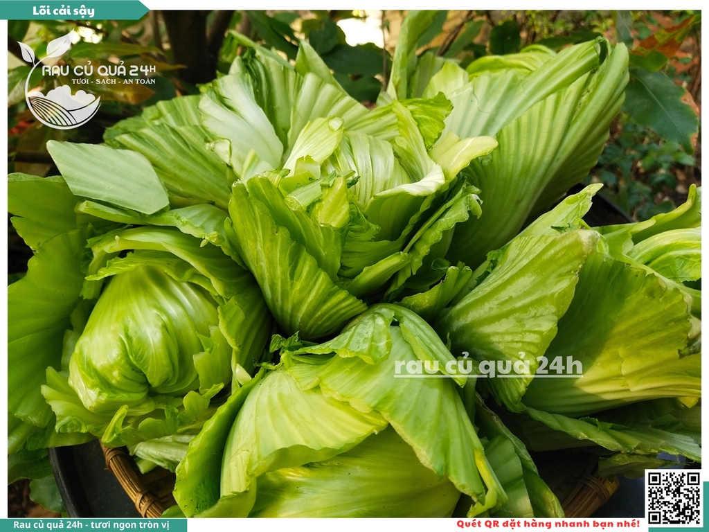 Cải sậy - cải muối dưa sơ chế