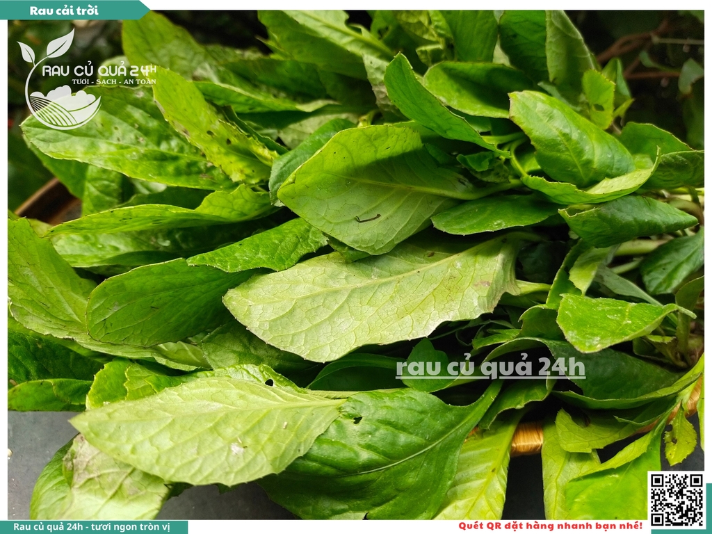 Rau cải trời khoảng 300g