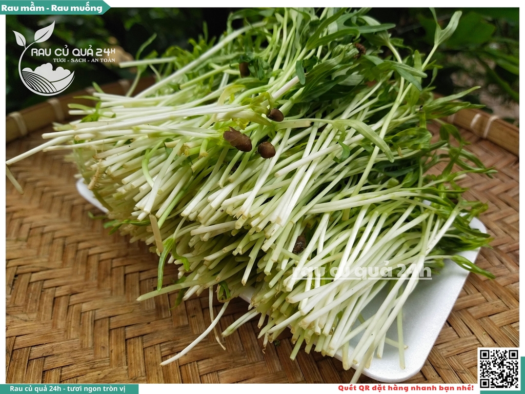 Mầm rau muống hạt khoảng 250g
