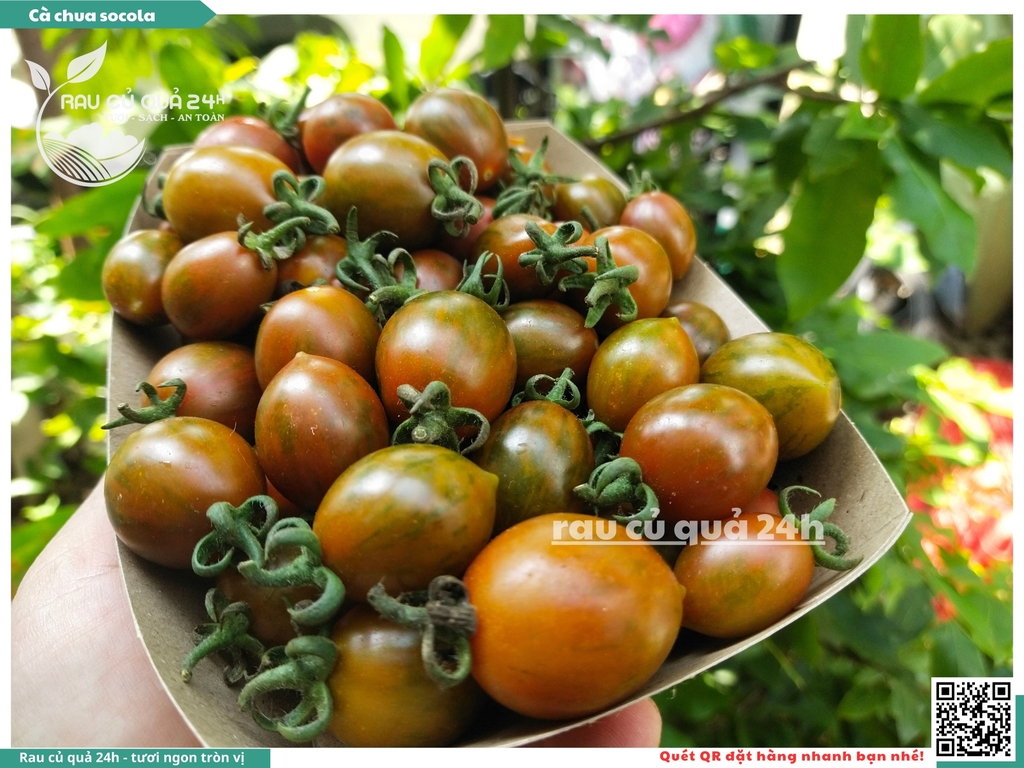 Cà chua cherry socola 250g