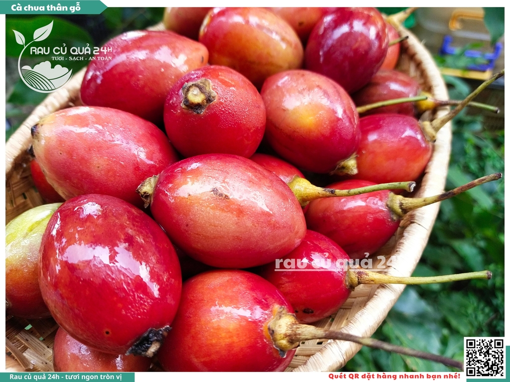 Cà chua thân gỗ hộp 500g